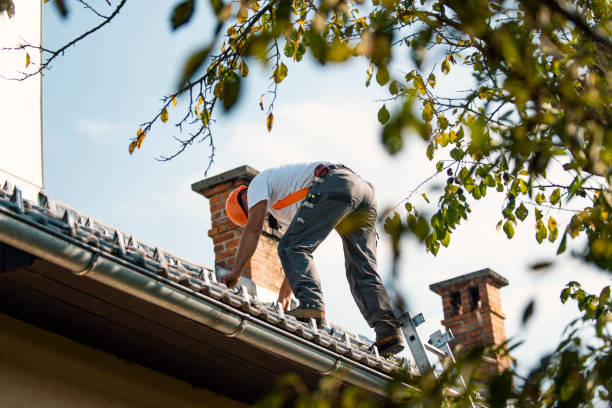 Best Roofing Contractor Near Me  in Warren, IN