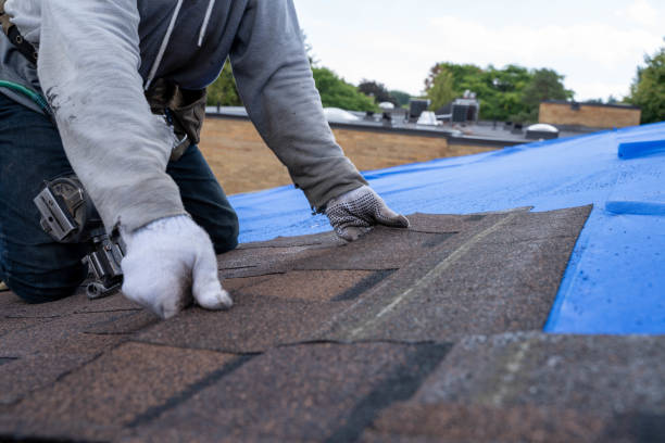 Trusted Warren, IN Roofing Contractor Experts